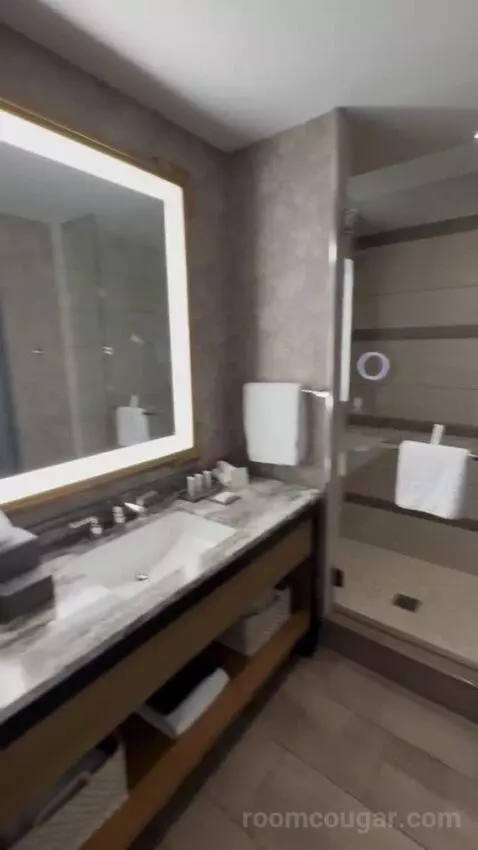 Deluxe Room, 2 Queen Beds bathroom picture #6