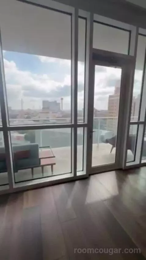 Penthouse Suite view picture #1