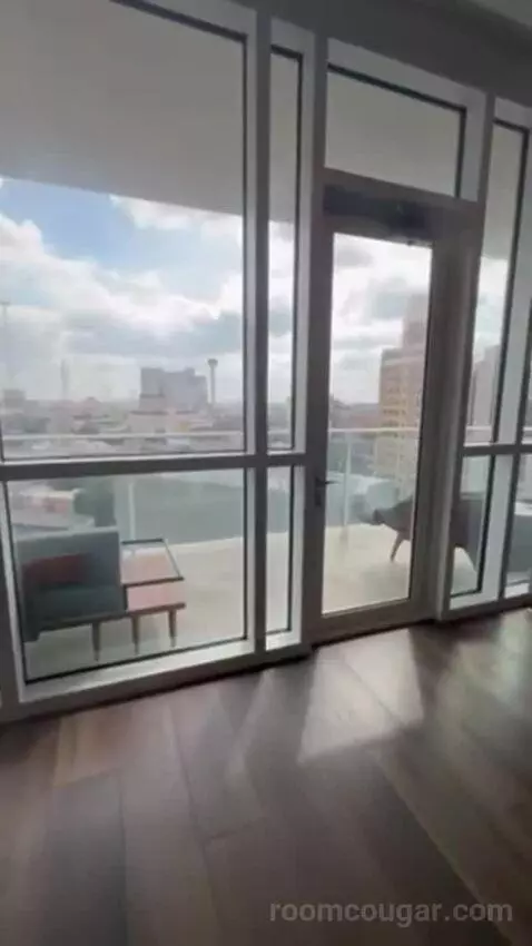 Penthouse Suite view picture #2