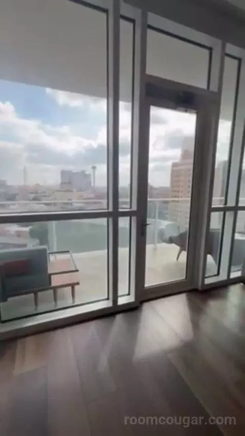 Penthouse Suite view picture #3