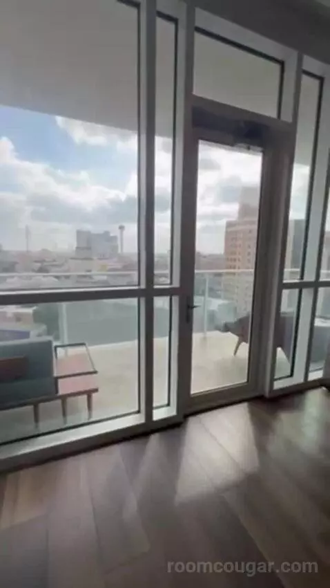 Penthouse Suite view picture #4