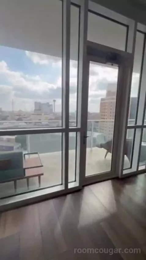 Penthouse Suite view picture #5