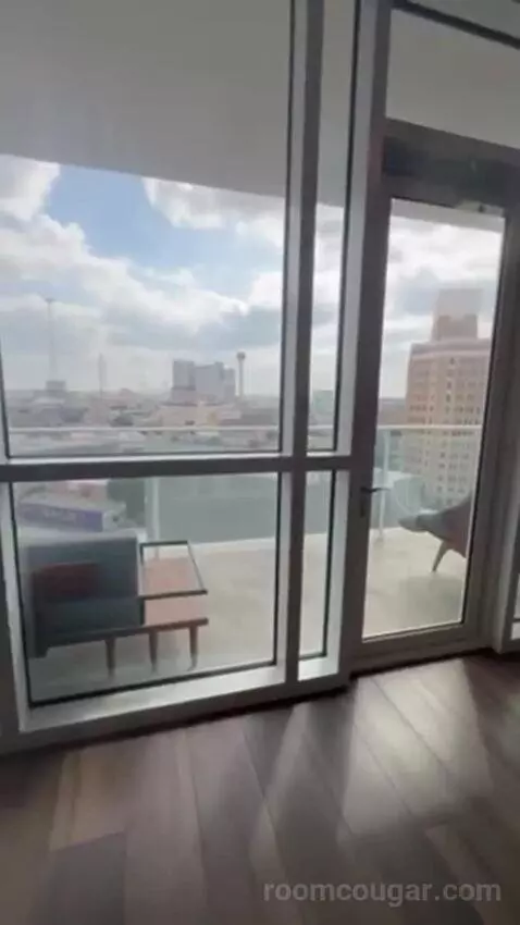 Penthouse Suite view picture #7