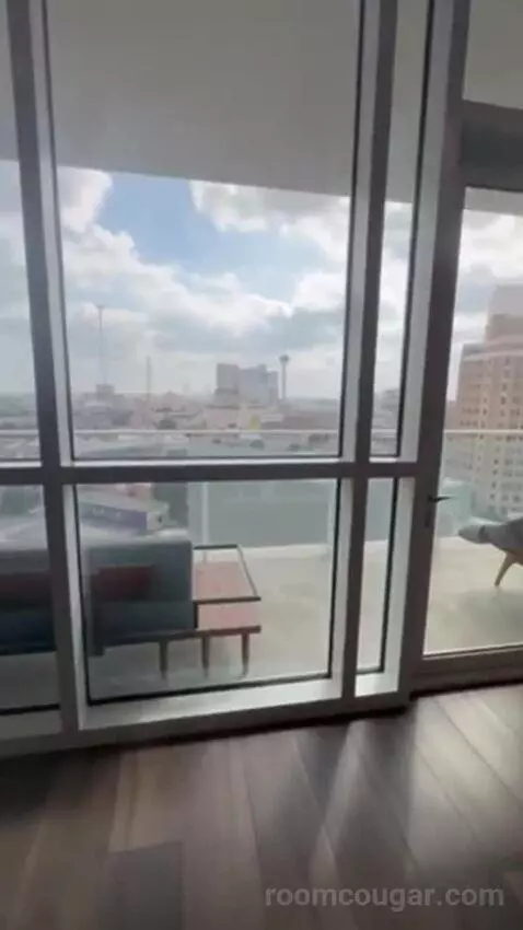 Penthouse Suite view picture #8