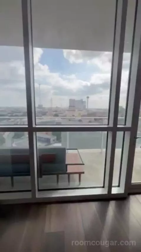 Penthouse Suite view picture #9