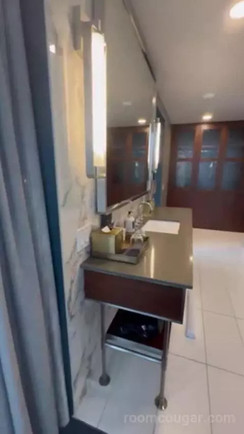 Penthouse Suite bathroom picture #11