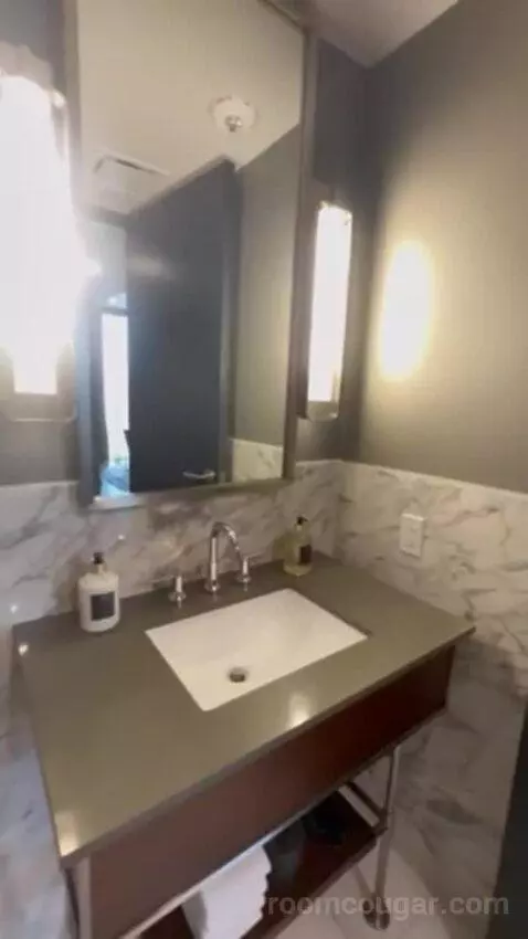 Penthouse Suite bathroom picture #2