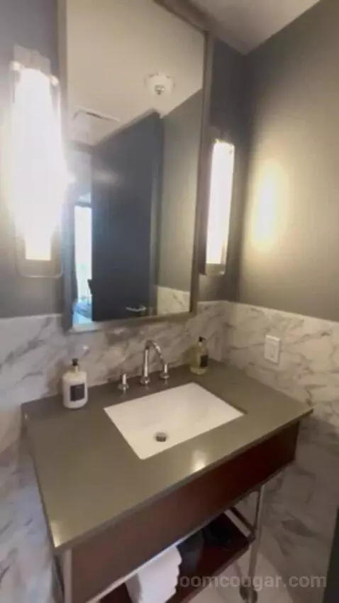 Penthouse Suite bathroom picture #3
