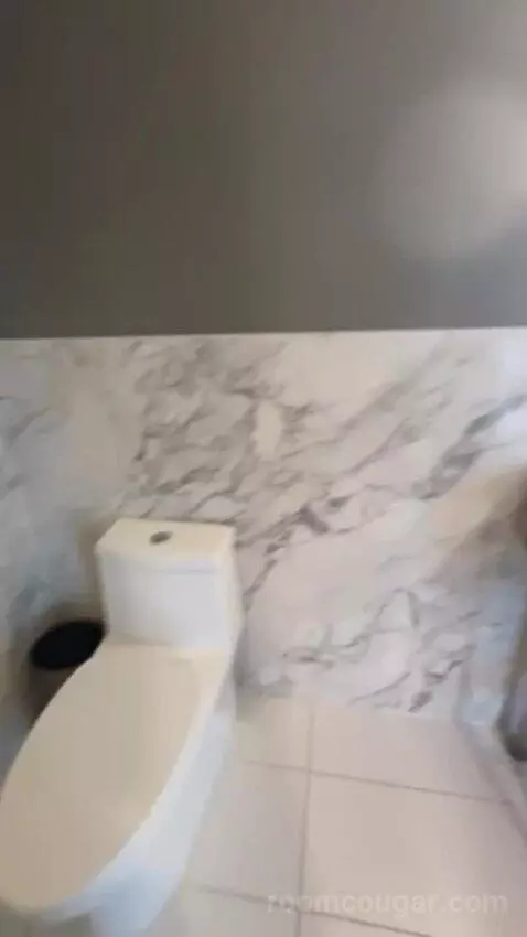 Penthouse Suite bathroom picture #4