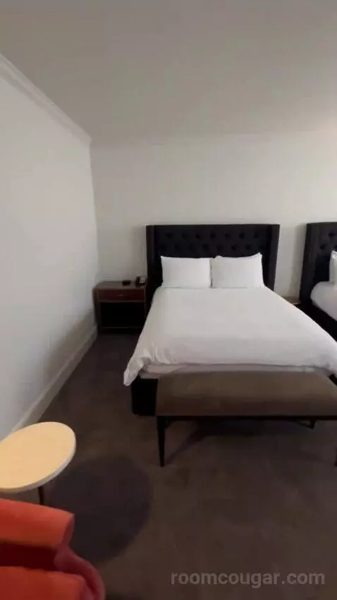 Premiere Double Queen bed picture #2