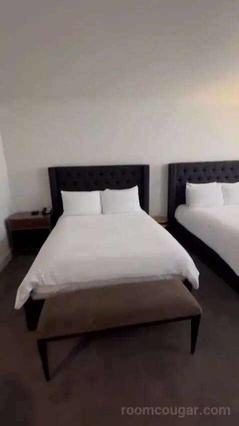 Premiere Double Queen bed picture #3