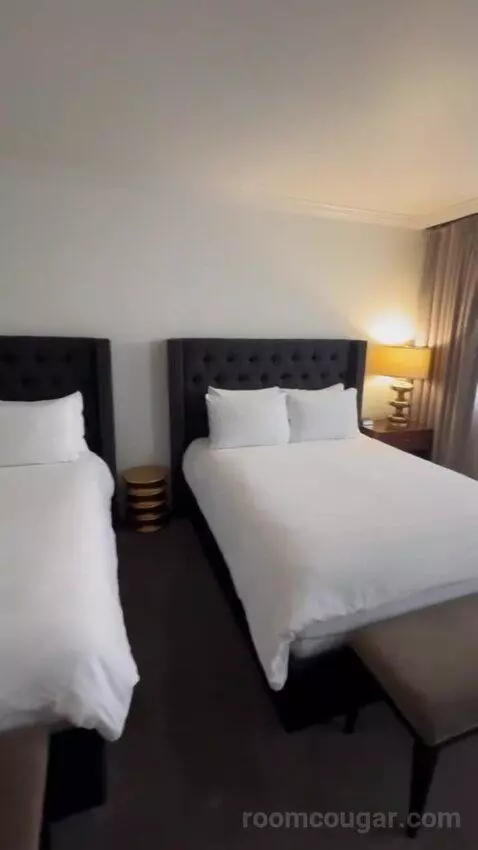 Premiere Double Queen bed picture #5