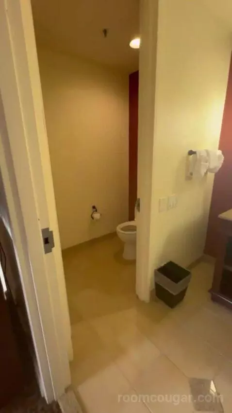 Deluxe King Room with Garden Tub bathroom picture #2