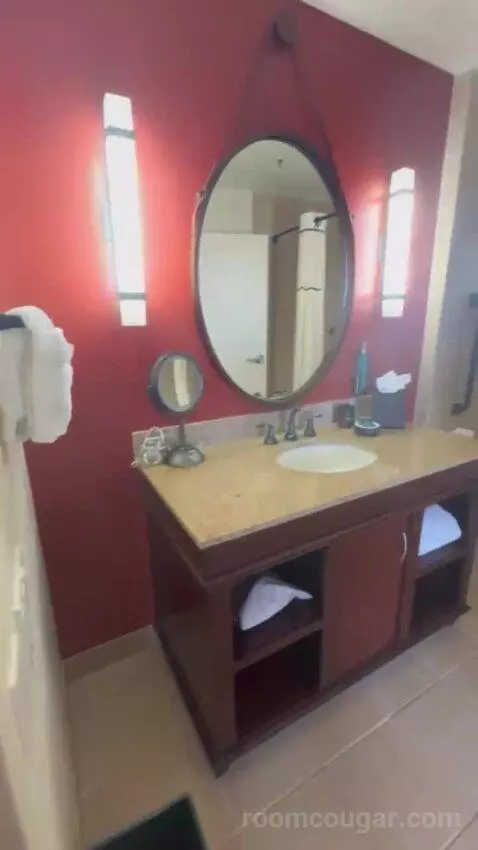 Deluxe King Room with Garden Tub bathroom picture #8