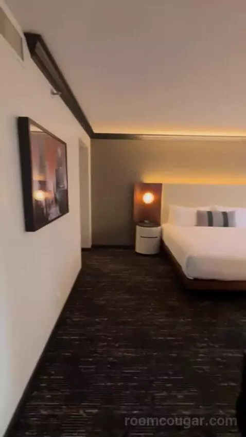 Premier Club Luxury Suite bed picture #5