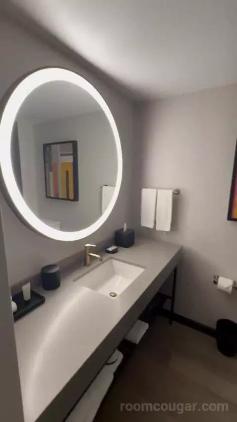 Premier Club Luxury Suite bathroom picture #6