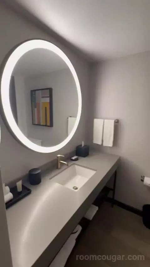 Premier Club Luxury Suite bathroom picture #7