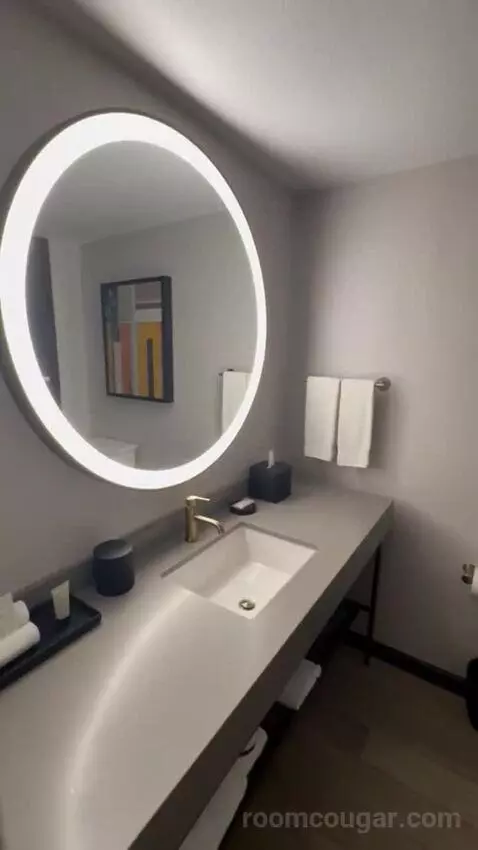 Premier Club Luxury Suite bathroom picture #8