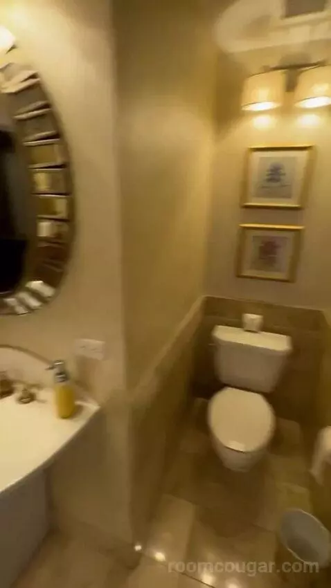 Governor's Suite bathroom picture #5