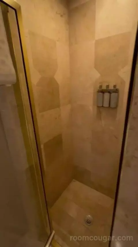 Governor's Suite bathroom picture #7
