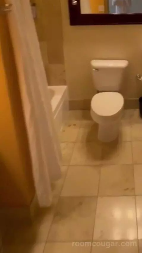 Deluxe King Room bathroom picture #1