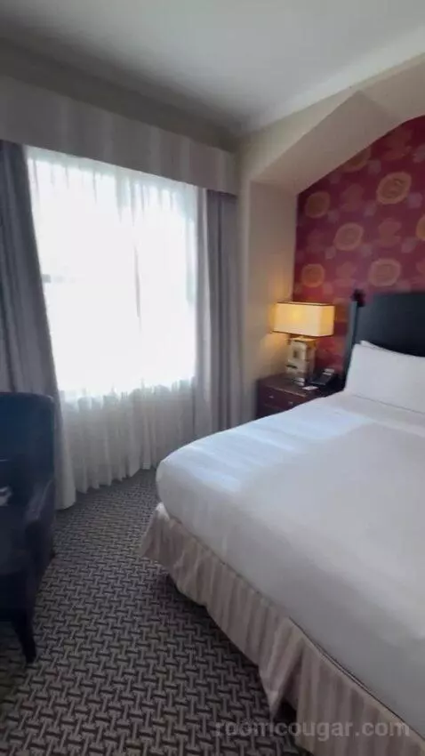 Deluxe King Room bed picture #6