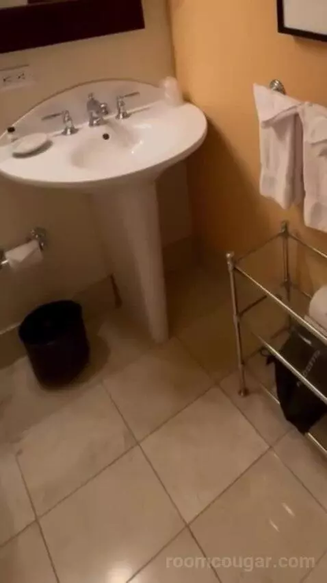 Deluxe King Room bathroom picture #3