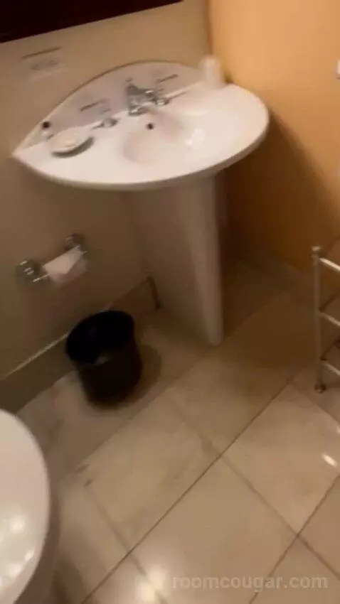 Deluxe King Room bathroom picture #4