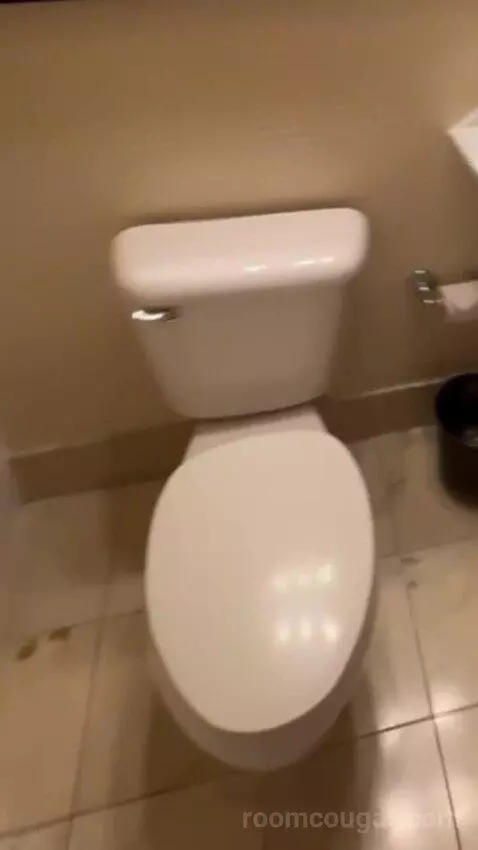 Deluxe King Room bathroom picture #5