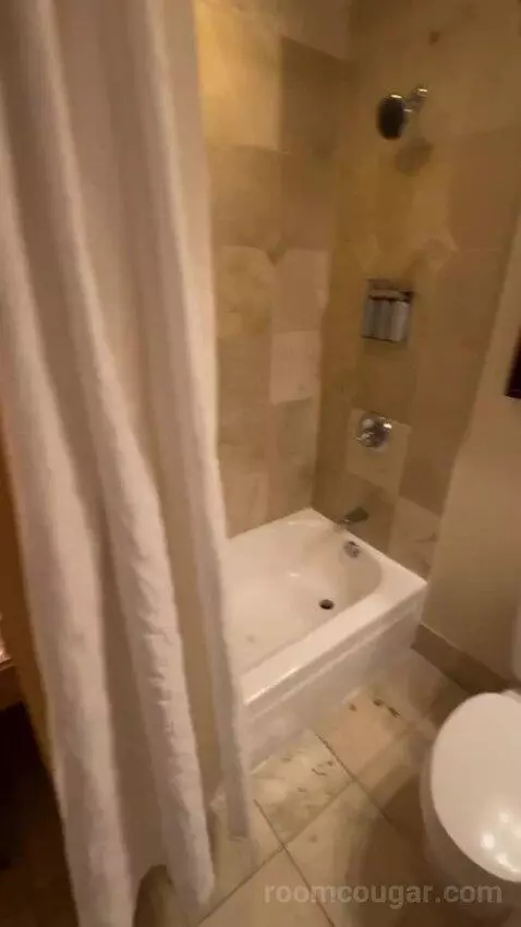 Deluxe King Room bathroom picture #6