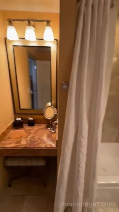 Deluxe King Room bathroom picture #7