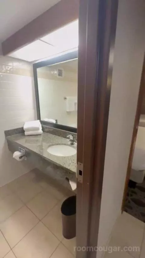 Queen Suite with Two Queen Beds bathroom picture #4