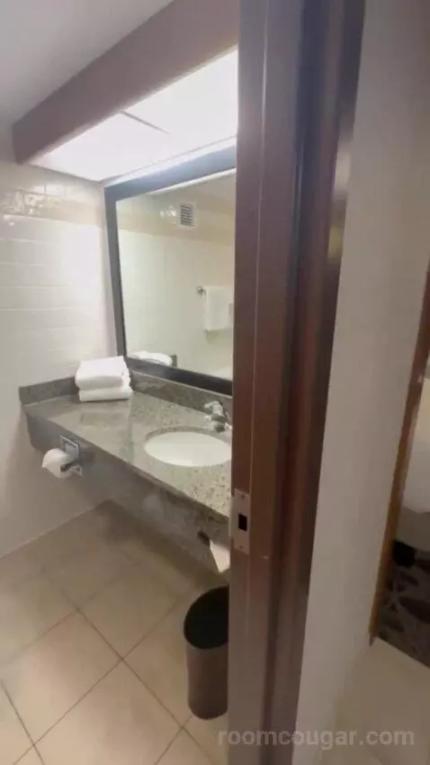 Queen Suite with Two Queen Beds bathroom picture #5