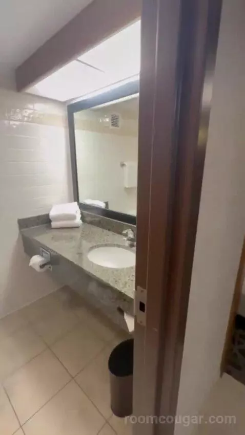 Queen Suite with Two Queen Beds bathroom picture #6