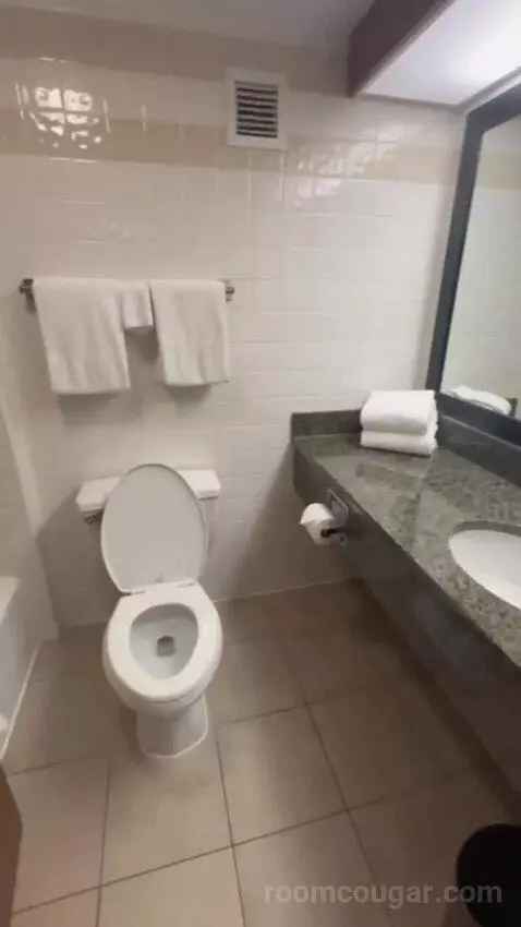 Queen Suite with Two Queen Beds bathroom picture #7