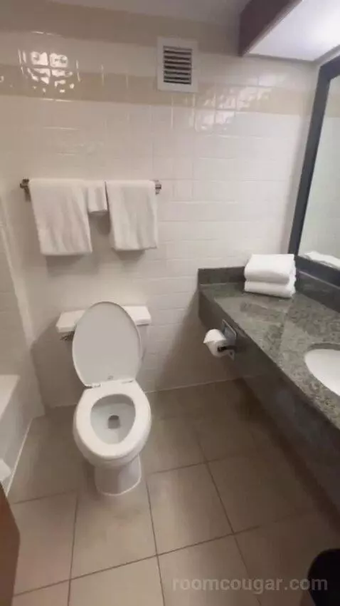 Queen Suite with Two Queen Beds bathroom picture #8