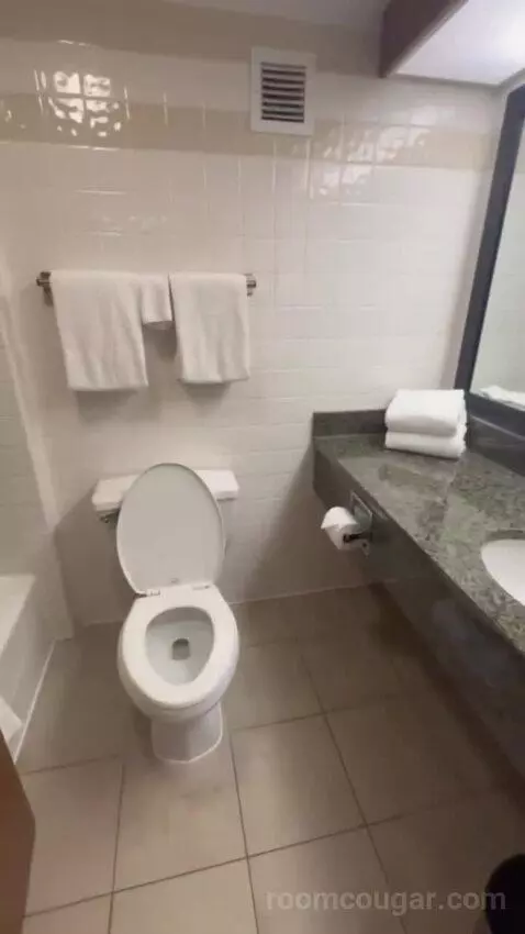 Queen Suite with Two Queen Beds bathroom picture #9