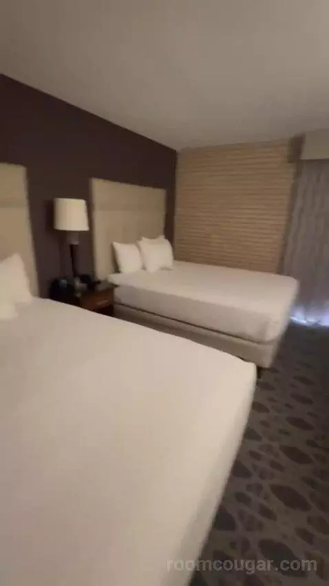 Queen Suite with Two Queen Beds bed picture #1