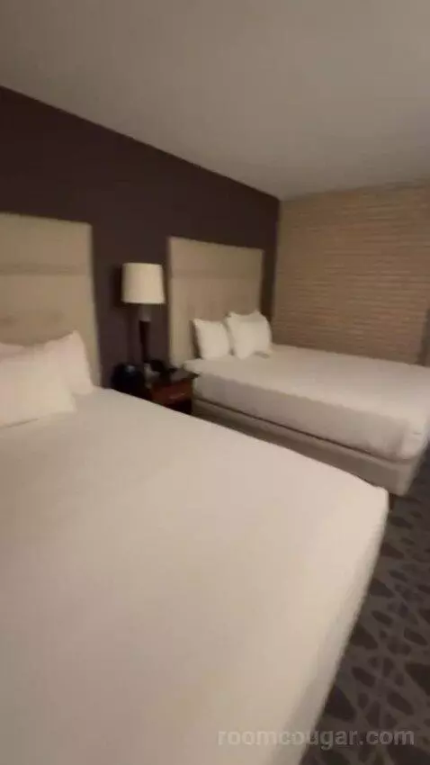 Queen Suite with Two Queen Beds bed picture #2