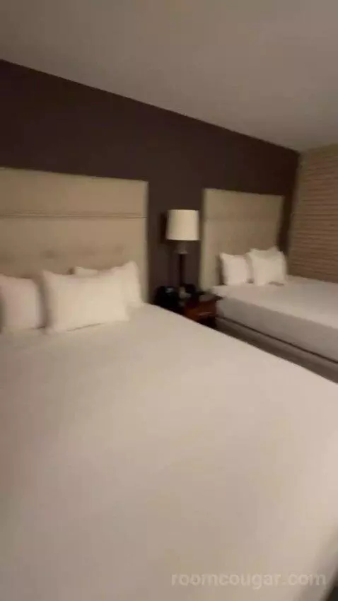 Queen Suite with Two Queen Beds bed picture #4