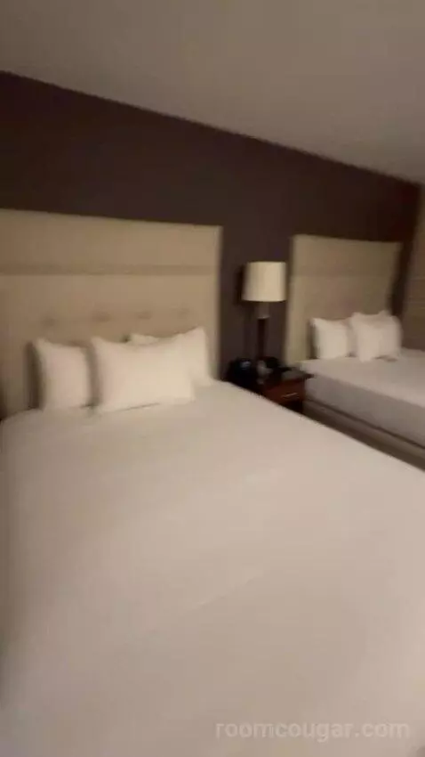 Queen Suite with Two Queen Beds bed picture #5