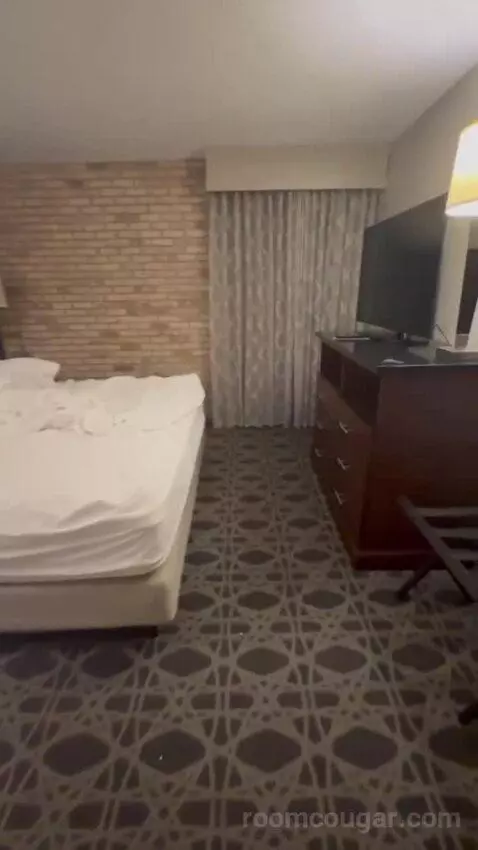King Suite with Sofa Bed bed picture #4