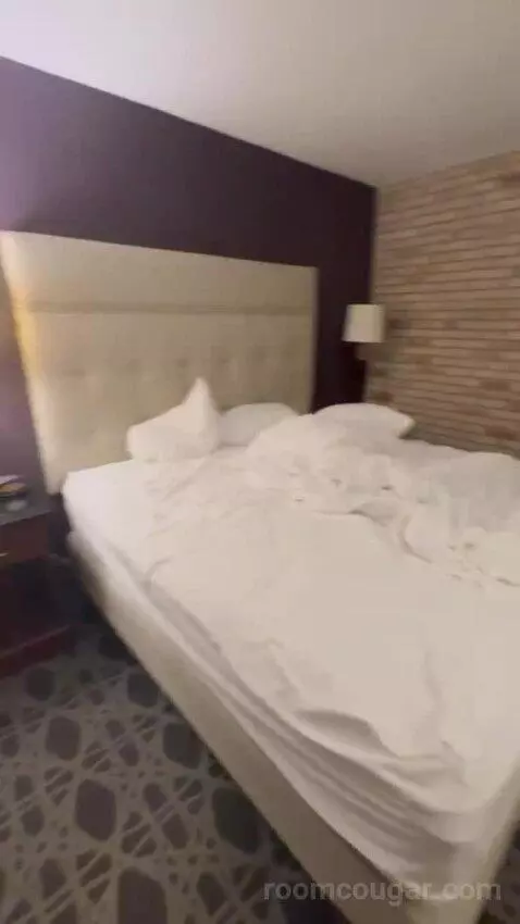 King Suite with Sofa Bed bed picture #9