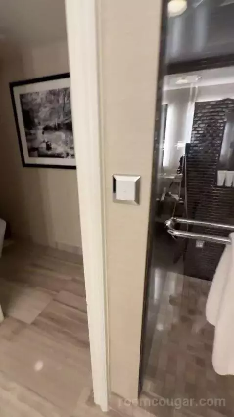 Sake Suite - Caesars Suites bathroom picture #6