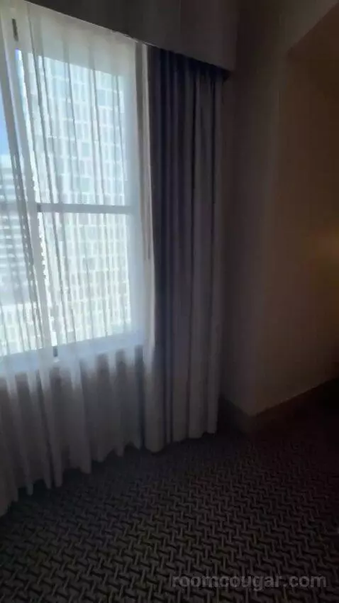 One Bedroom King Suite picture #13