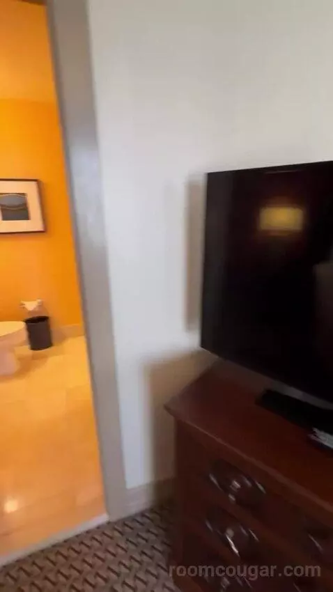 One Bedroom King Suite picture #18