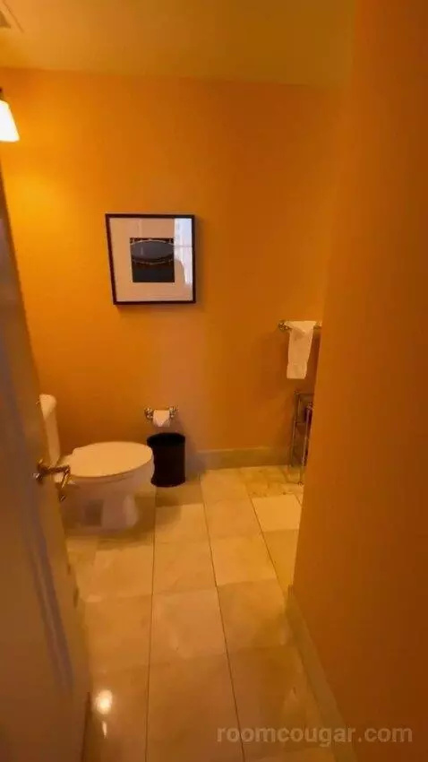 One Bedroom King Suite picture #19