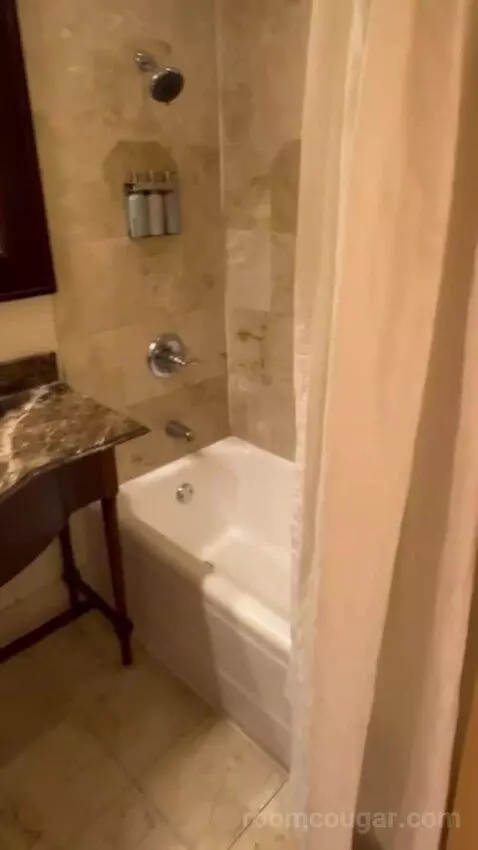 One Bedroom King Suite bathroom picture #6