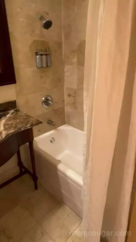 One Bedroom King Suite picture #22
