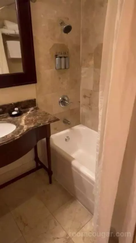 One Bedroom King Suite bathroom picture #7